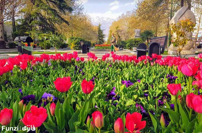 گل های لاله پارک ملت تهران