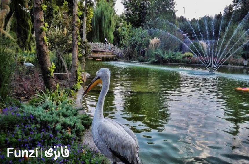باغ پرندگان پارک چمران فانزی 