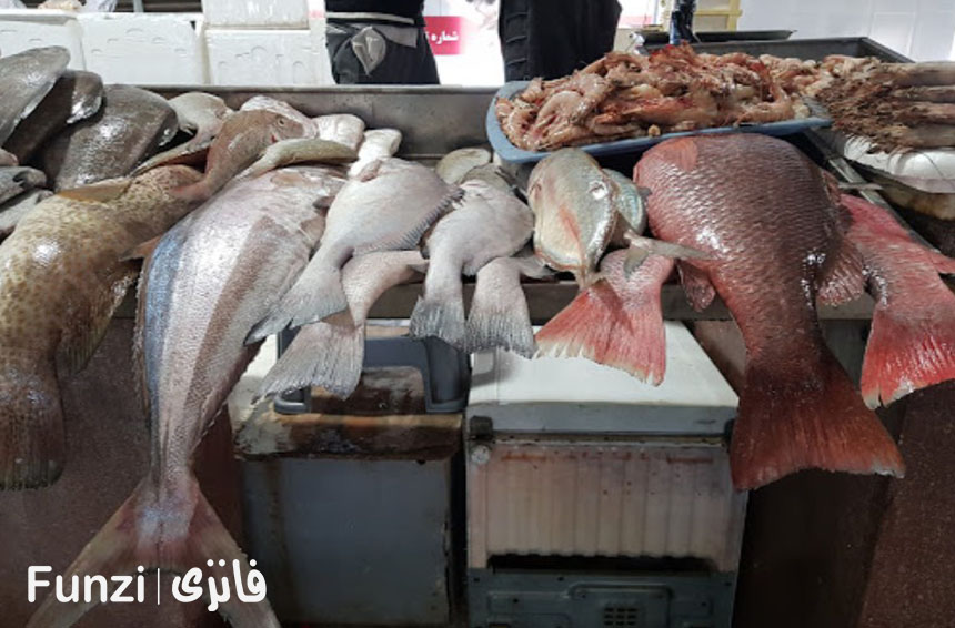 انواع ماهی های خوراکی کیش در بازار ماهی فروش های کیش فانزی 