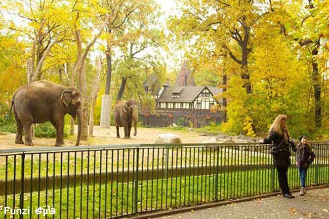 فیل باغ وحش برلین