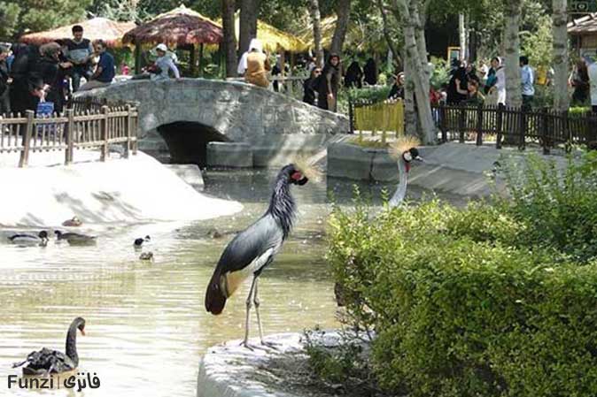 باغ پرندگان شهر اصفهان | پارک پرندگان اصفهان