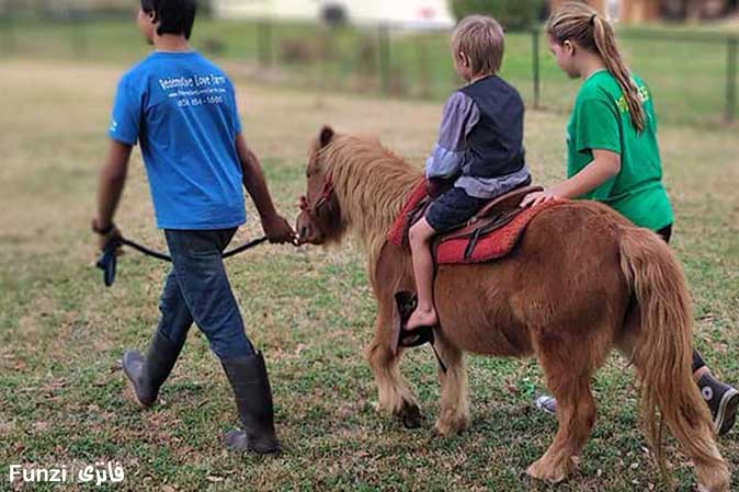 سواری کودکان اسب پونی سوارکاری