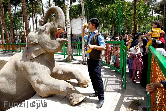 باغ وحش ارم تهران |تفریحات هیجان انگیز در تهران