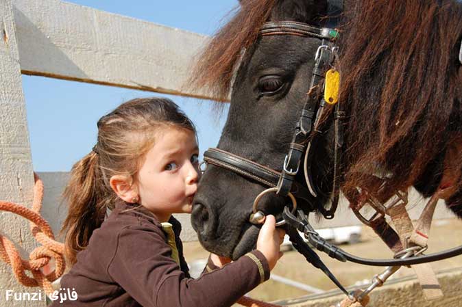 آموزش سوار کاری به کودکان | آموزش اسب سواری